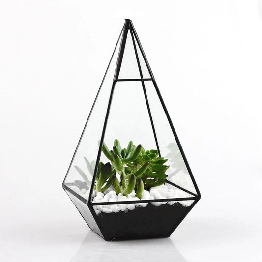 Pyramid Glass Terrarium